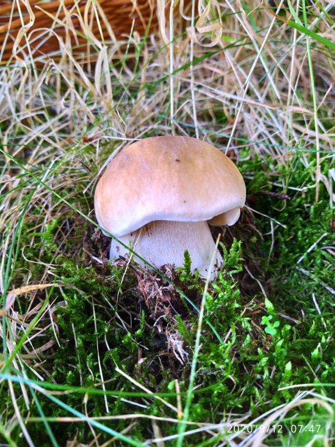Chalupa Kovarska Luaran gambar